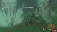 It was the Yiga Clan all along!