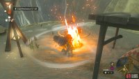 Use the draft created by throwing the Hylian Pinecone into the fire to glide across to Rito.