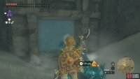 Go to Hebra North Summit to find the Hebra Great Skeleton.