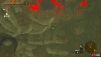 Use Bomb Flowers to free the torso fossil.