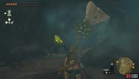 Defeat the Horriblin and Like Like on the cave path.
