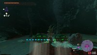 Travel to the Sturnida Lava Falls and watch out for the Frox.