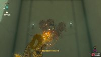 then shoot it at the leaves above to drop the chest. 
