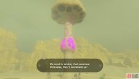 and then destroy the mushroom to stop them from spawning!