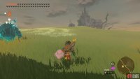 Horses spawn to the north of Serenne Stable.