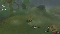 Cutting grass for Hylian Rice in Faron.