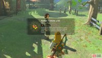 Speak with Clavia to finish the quest and get ten Hylian Tomatos.