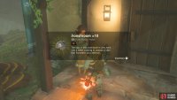 Speak with Sophie to get ten Ironshroom.