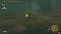 The Like Like hanging down