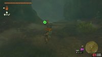 Using the right path to avoid it