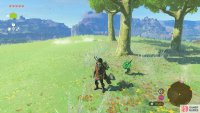 Interact with the trail to reveal a Korok..