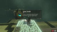 the chest contains a Large Zonaite. 