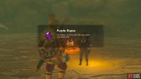 Speak with Loone to get a Purple Rupee and finish the quest line.
