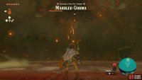 At half health, Marbled Gohma will move to the ceiling.