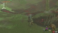 Locate the Chasm along the path to the Lost Woods