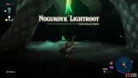 The Nogukoyk Lightroot