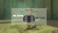 Parry by readying your shield