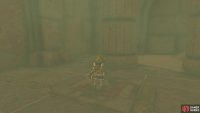 to reveal a pressure plate that opens up the door to the rest of the temple!