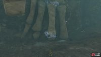 Use a Bomb Flower to free the fin bone on your left and place it on the fin.