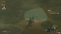 Then beat up the Lizalfos in the next room. 