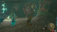 Use Brightbloom Seeds to light the area and then fight the first Hinox Brother, a Red Hinox.
