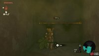 so you can pass behind into a secret room with a spear!