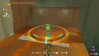 Placing the ball in the bowl