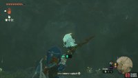 Don’t forget to get the Bubbulfrog while visiting this cave.