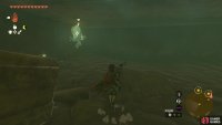 You&rsquo;ll find the Bubbulfrog in the pit with the falling platforms.