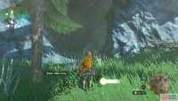 The entrance to the cave is kind of hard to see, due to some trees in the way