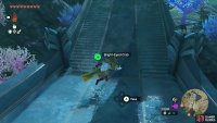 You can find some whenever you&rsquo;re climbing the long set of stairs at Mipha Court.