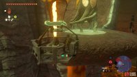 You will eventually reach the ledge with the Lightroot.