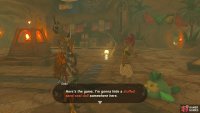 She will hide a sand seal in the shelter and you have to find it