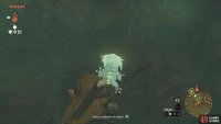 Behind the breakable wall will be the cave’s !Bubbulfrog
