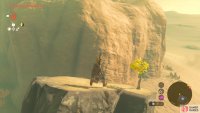 You can get on this rock to make the climb to the Southern Oasis easier.