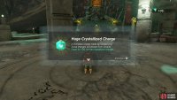 Don’t forget to open the chest after defeating him for the Huge Crystallized Charge.