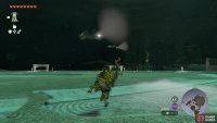 There will be two Yiga members flying around the arena.