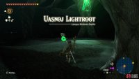 You’ll encounter some Lightroots along the way, so make sure to activate them.