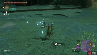 If you’ve done the Water Temple, you’ll pass a refight against Mucktorok.