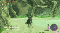 The Uinoj Lightroot is right next to the arena.