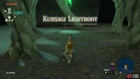 It’s a good idea to activate the Lightroot on top of the labyrinth first