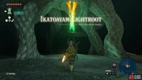 Use !Ascend to get on top of the labyrinth to find the Lightroot