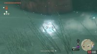 You might find some Ice Chuchus near the shrine.