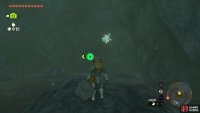 You can find the Bubbulfrog at the top of the second waterfall.
