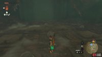 You will need to place the rocks on the correct stone switches