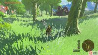 It should be sleeping in the middle of a clearing, by some trees.