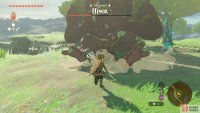 Doing so will temporarily stun the Hinox, allowing you to get easy damage.