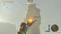 Shoot the Molduga with an arrow fused with a Bomb Flower to stun it.