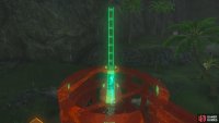 Use Ascend to place the palm tree at the Lucky Treasure Shop.