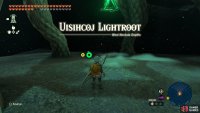 Activate the Uishihcoj Lightroot.